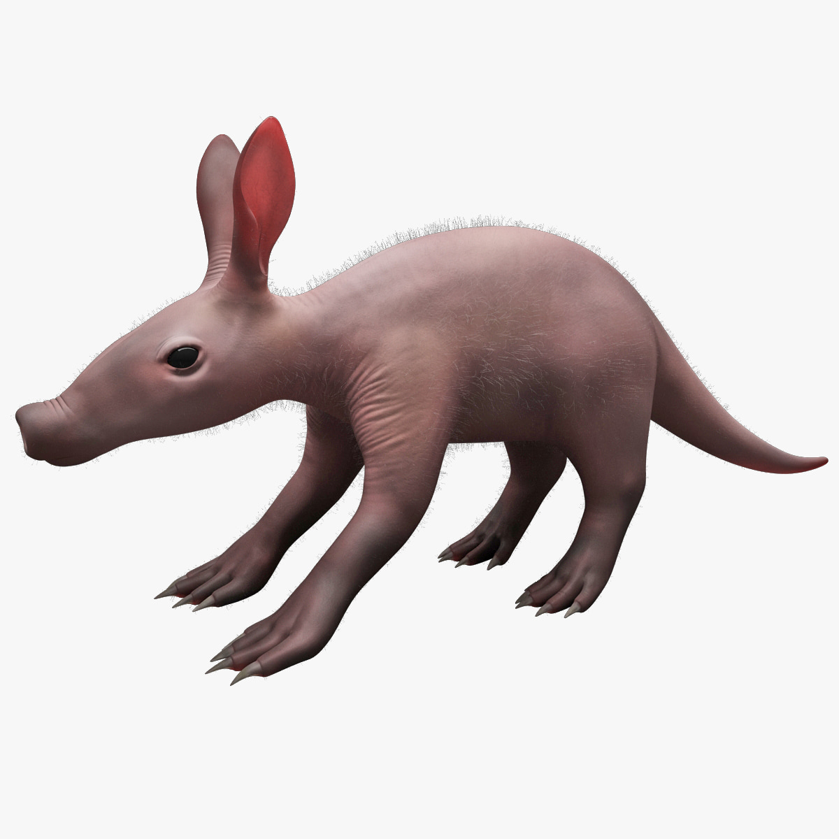 3dsmax baby aardvark