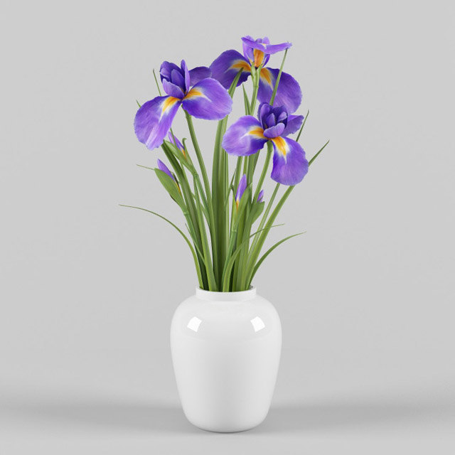 iris vase 3d model