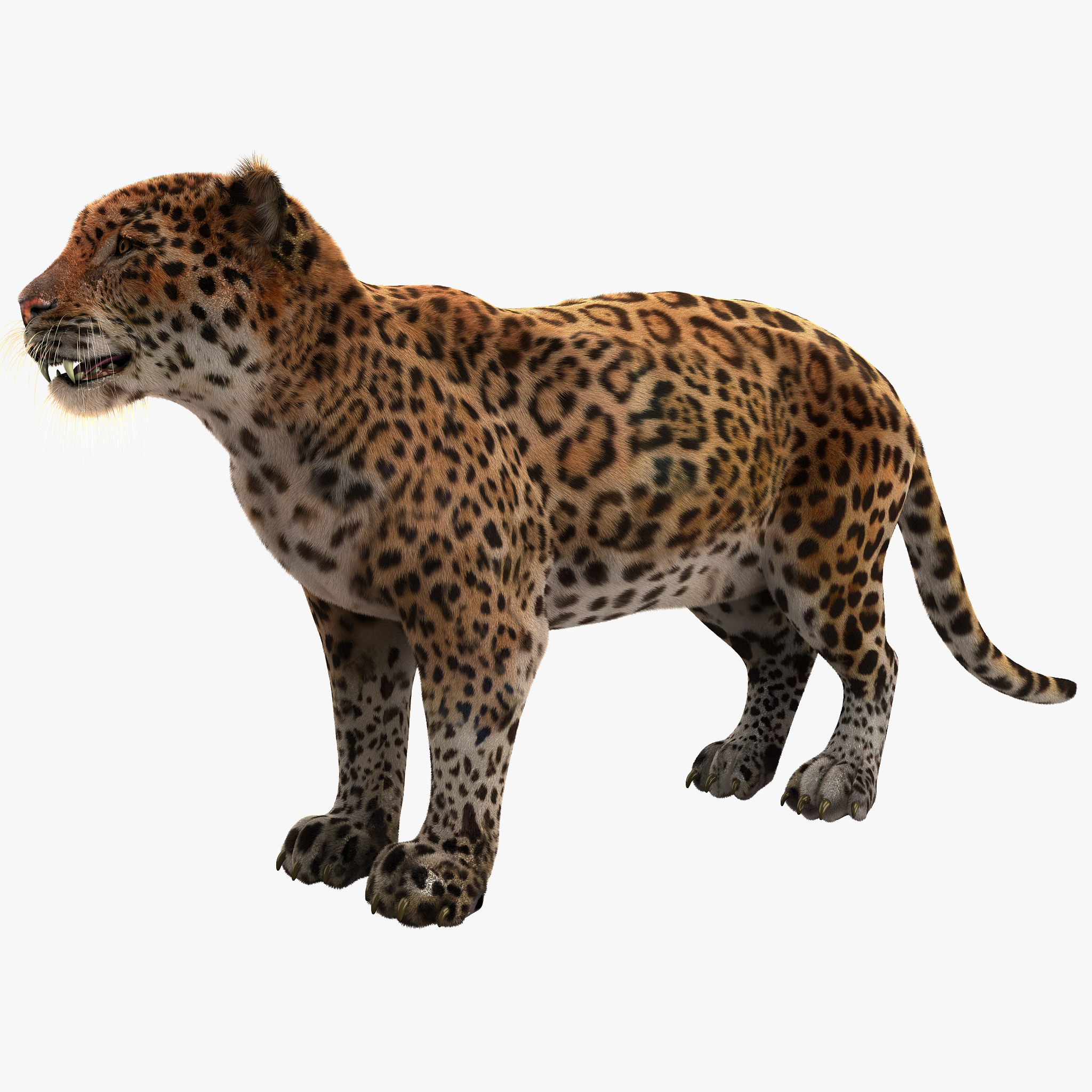 fur jag 3d model