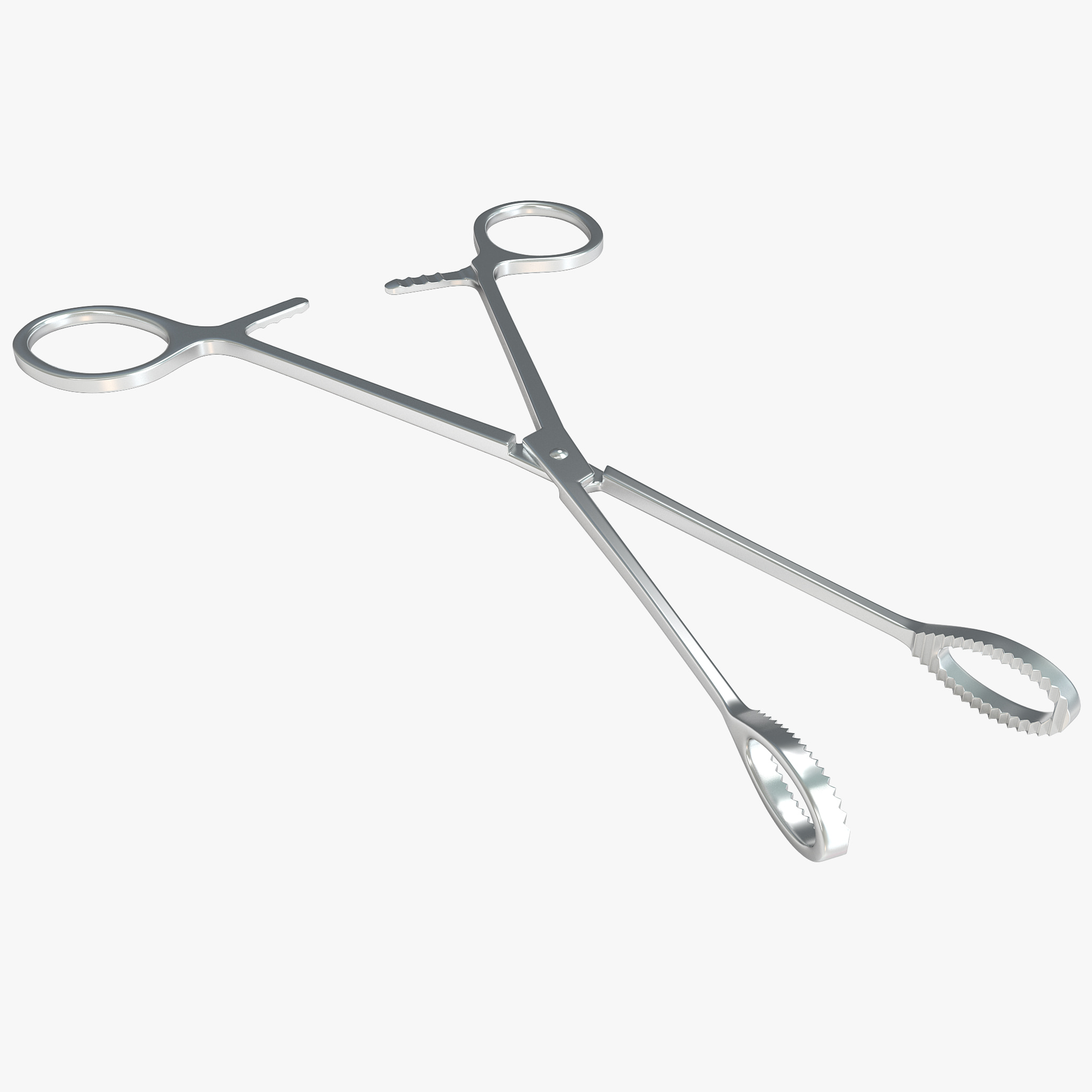 sponge forceps 3d model