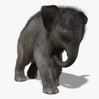 elephant 3d models