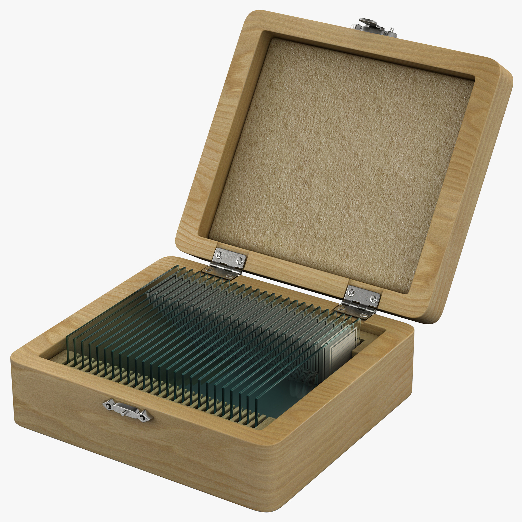 3dsmax prepared microscope slides celestron