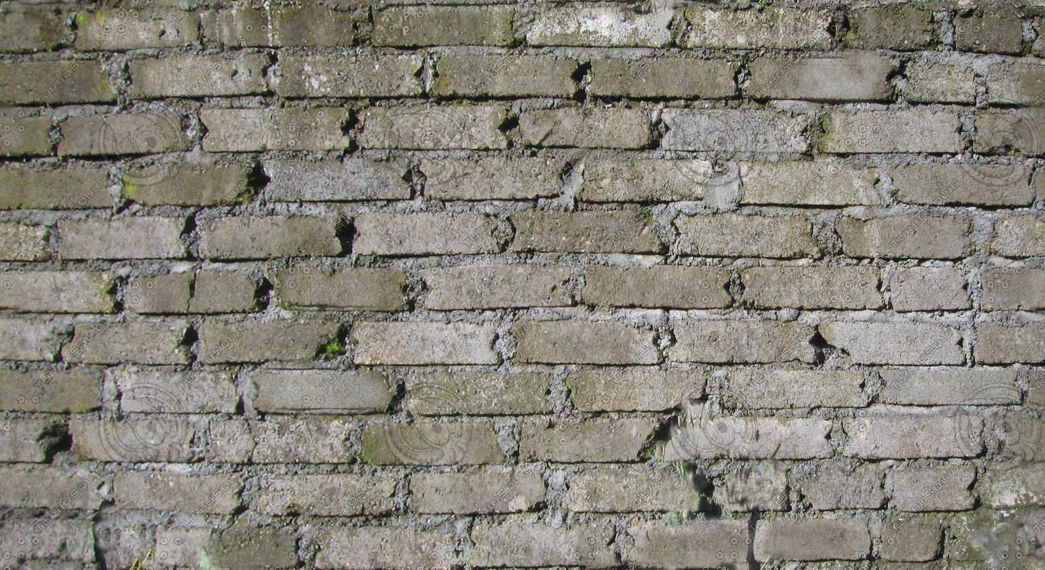Texture jpg cement brick wall