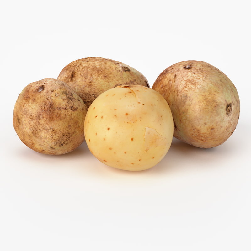 realistic potato real vegetables 3d max