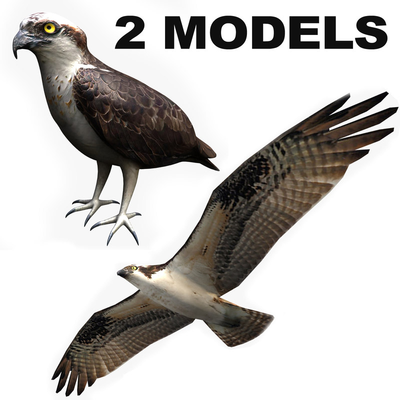Ospreyfx