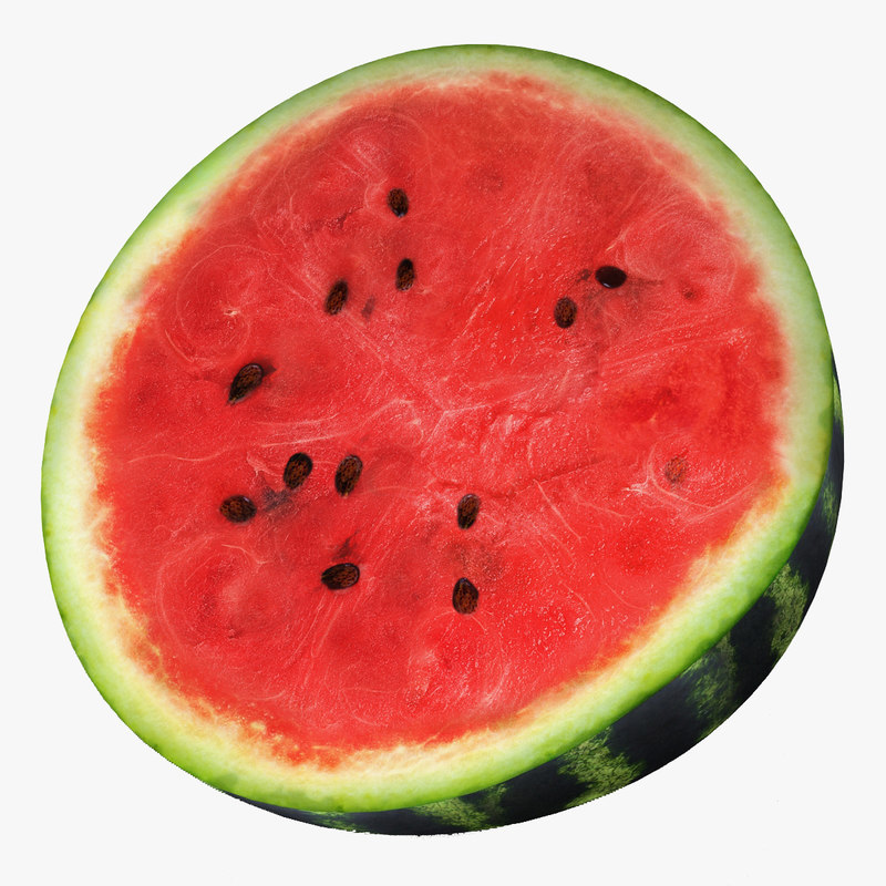 3dsmax watermelon cross section 2