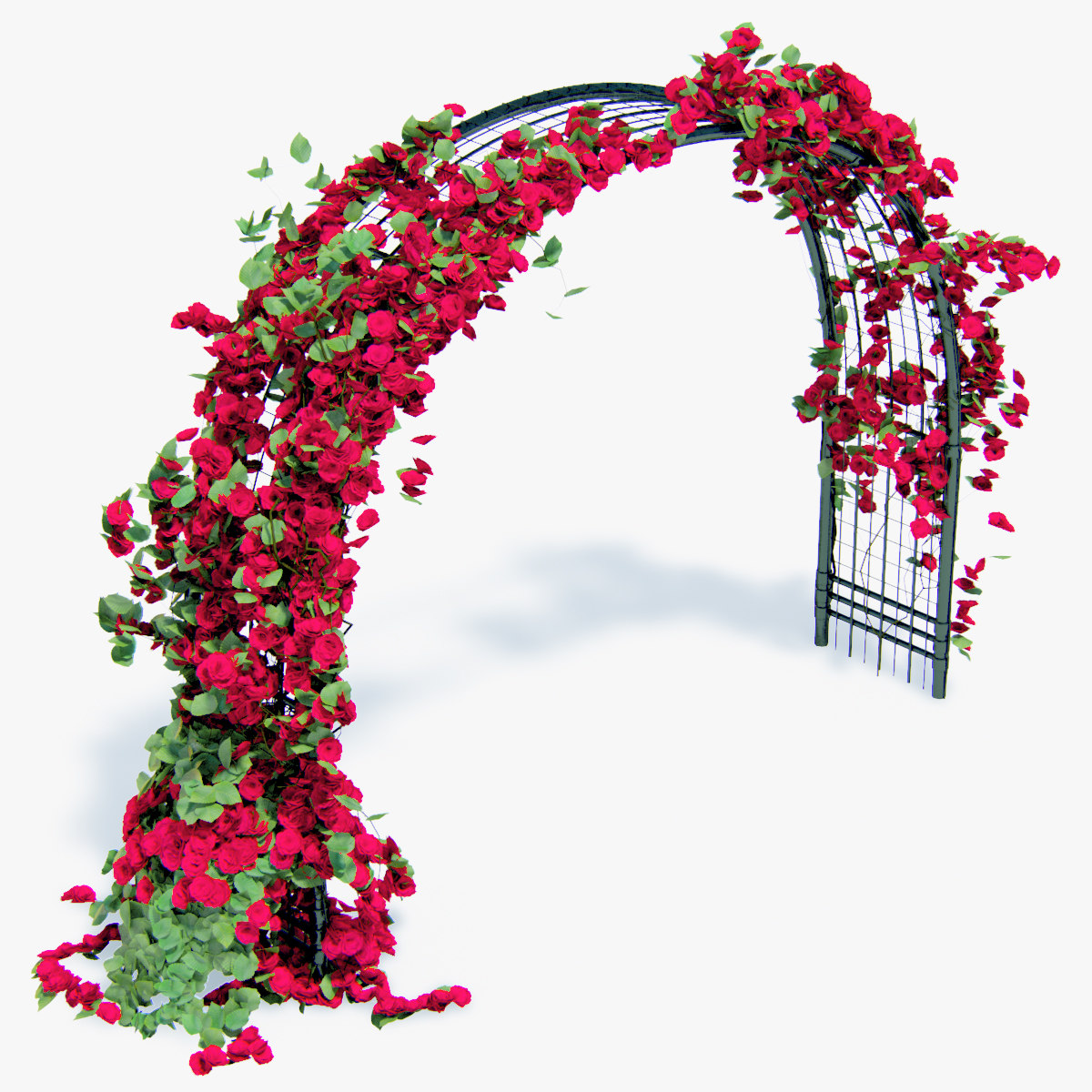 3d climbing roses flower model