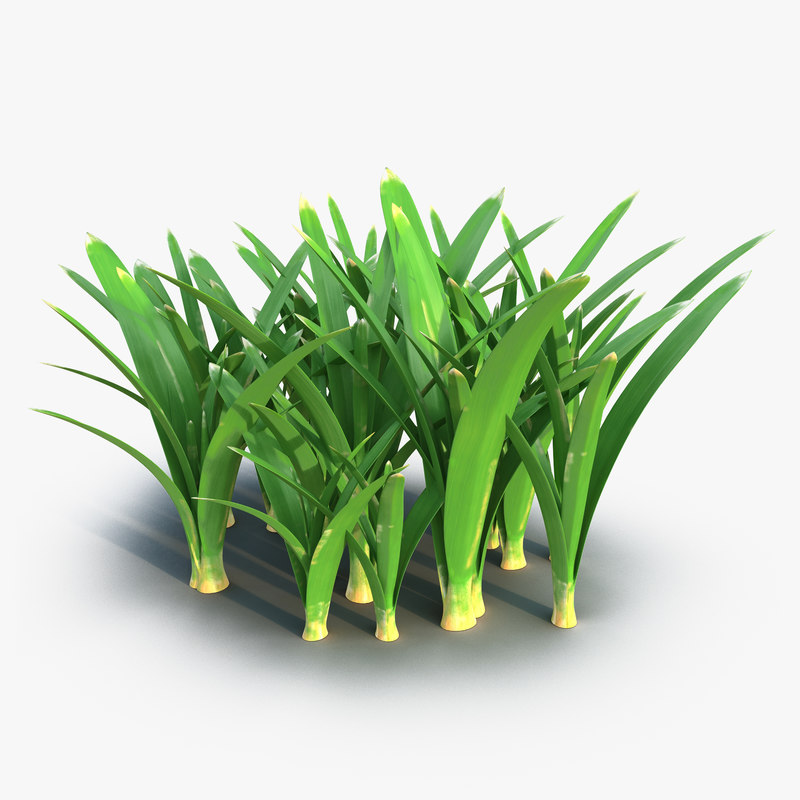 3d model of Grass 3 by 3d_molier International