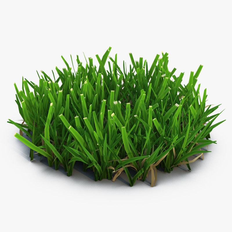 3d model of Grass 5 by 3d_molier International