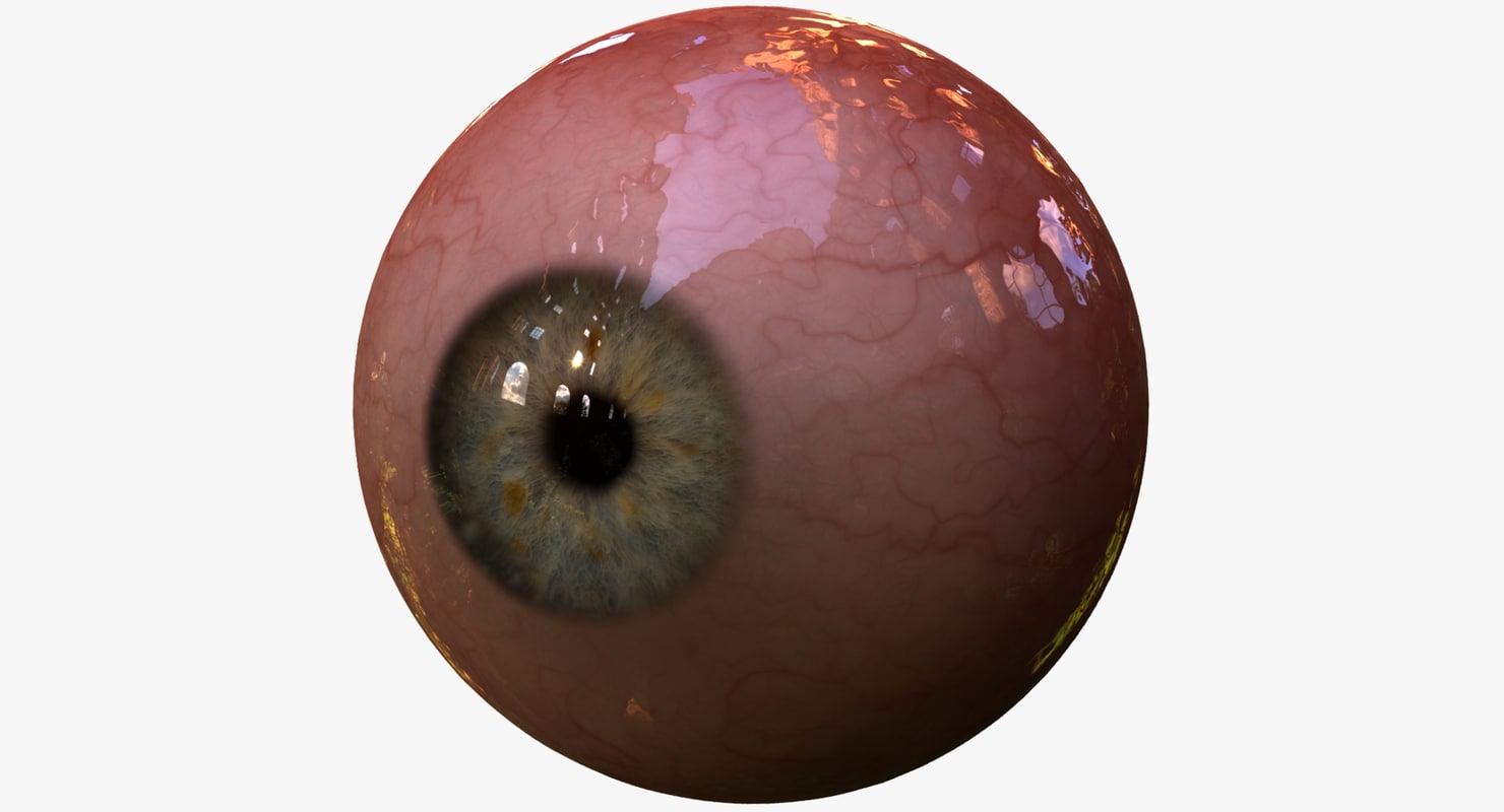 3d realistic human eye pupil