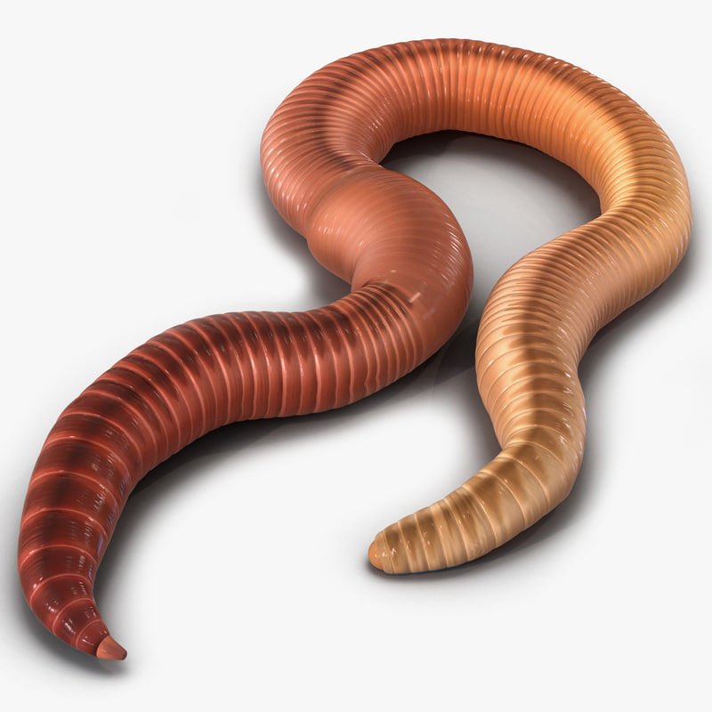 3d earth worm pose 3