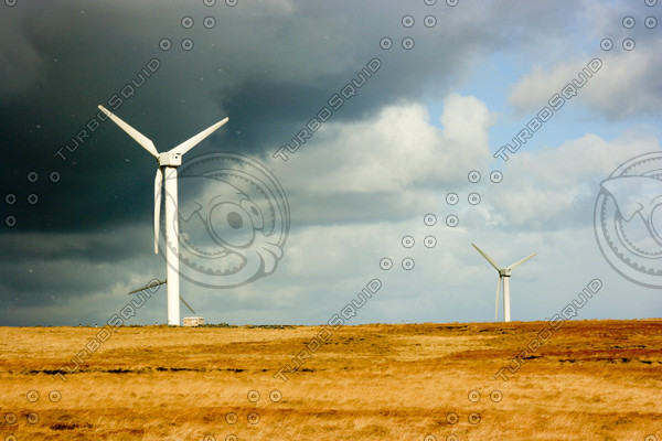 Wind electric generator