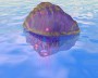 3d portuguese man-o-war model