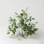 3ds max garden plant
