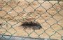 DSCN1148.jpg