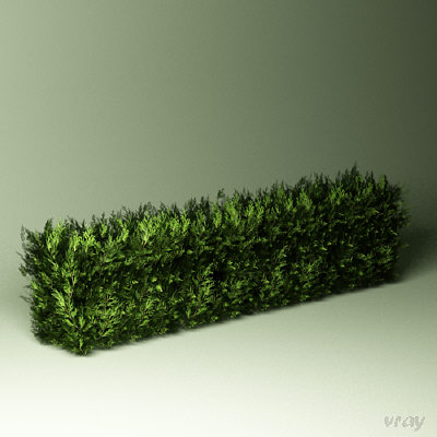 bush hedge max - Bush_14 by stei