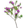 Branch_s_42.tga