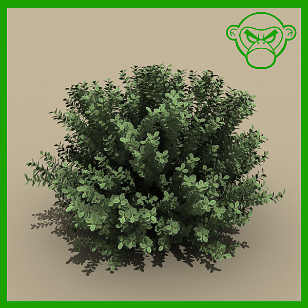 obj green cloud sage - plant_green_cloud_sage by monkeyodoom