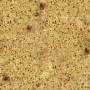 wheatcross.tga