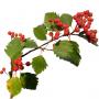 Branch_s_13.tga