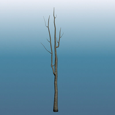 dead tree max - tree_dead by bihoreanul