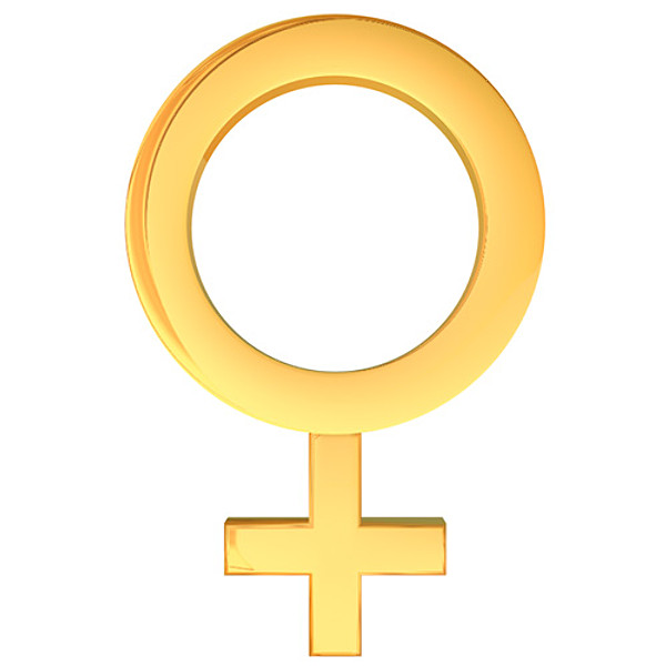 female symbol 3d model - Female Symbol by NesAn Studio