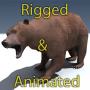 Grizzly Bear Rigged Animated