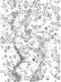 micro1_512x387.JPG