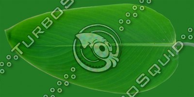 Tropic_21.tga