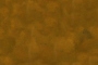 BRONZE8.TGA