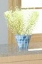 Potted Plant