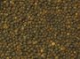 peppercorns_2712 tm.jpg