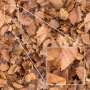 High rez, tileable ground texture.