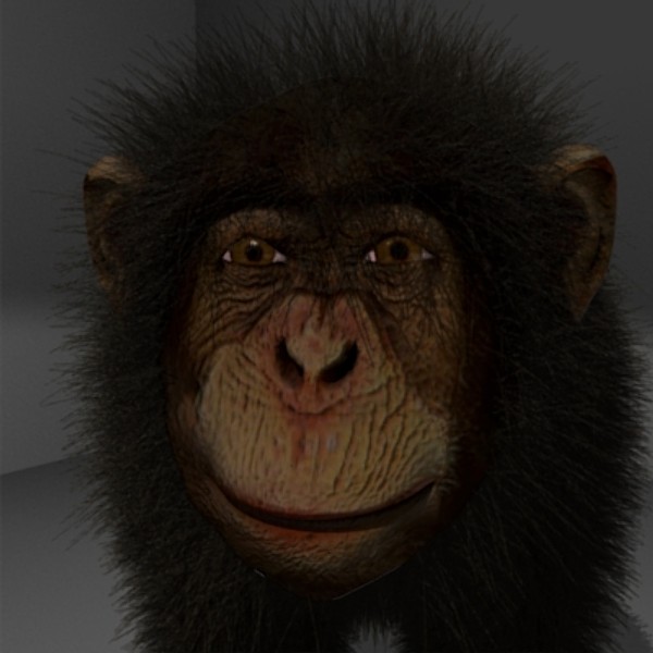 chimpanzee monkey 3d 3ds - chimpanzee by bescec
