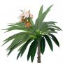 Branch_s_18.tga