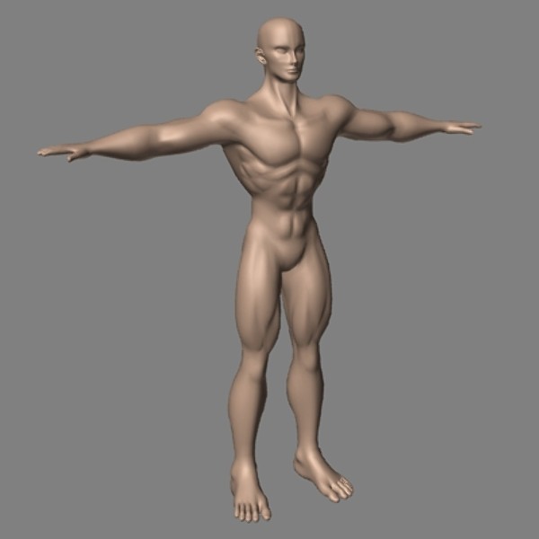 muscular male hero superhero 3d model - tw_hero_mp.lwo by tomwoof