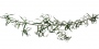 Branch_s_17.tga
