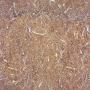 tile002.tga