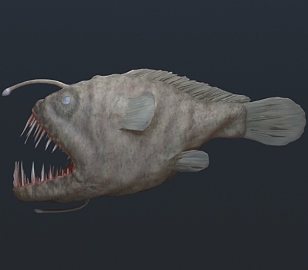 3d angler fish model - Angler Fish by luki82