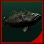 largemouth bass 3d model
