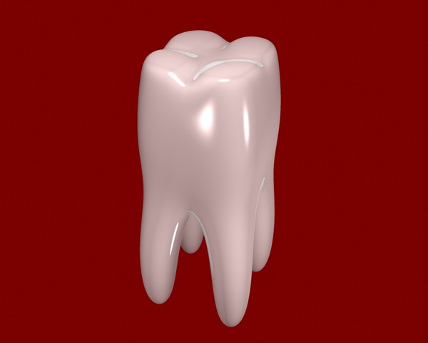human tooth 3d model - Tooth by Drebezg_Kontaktov