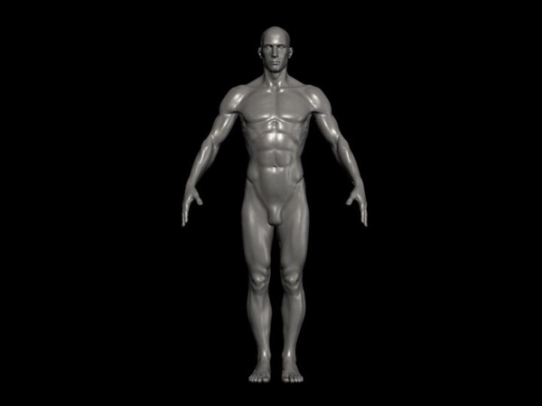3d human male ztl format - Human Male Ztl format by fishzombie
