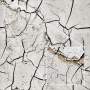Tileable dry mud texture