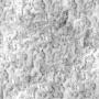 snow.tga