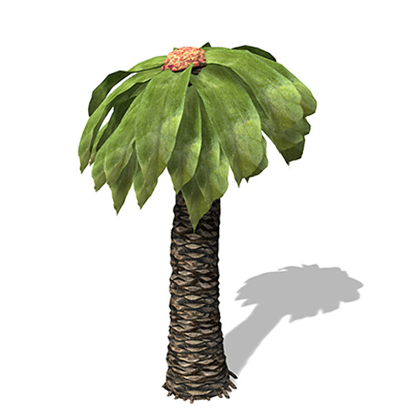 3d model xfrogplants bjuvia plants - XfrogPlants Bjuvia by xfrog