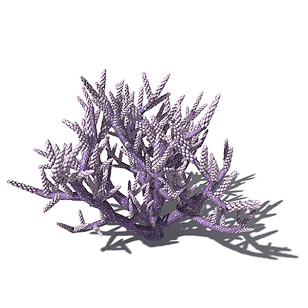xfrogplants acropora coral plant 3ds - XfrogPlants Low Acropora by xfrog