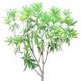 BushL_08.tga