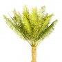Palm_18.tga