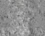 grime2_seamless.tga