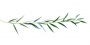 Branch_s_16.tga